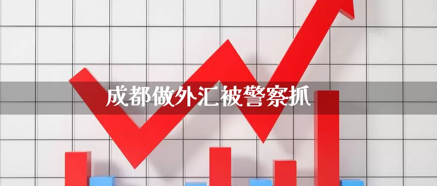 成都做外汇被警察抓_https://www.sjzjsgy.com_期货入门_第1张