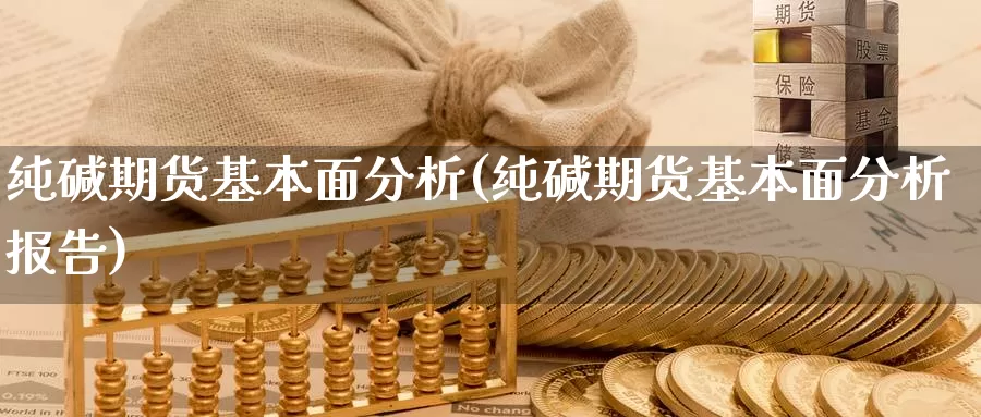 纯碱期货基本面分析(纯碱期货基本面分析报告)_https://www.sjzjsgy.com_期货入门_第1张