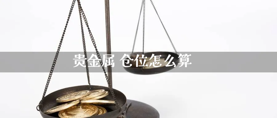 贵金属 仓位怎么算_https://www.sjzjsgy.com_期货入门_第1张