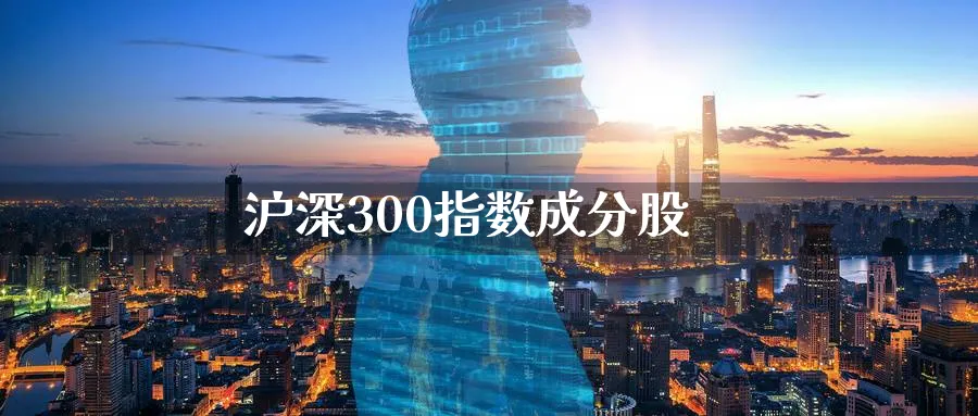 沪深300指数成分股_https://www.sjzjsgy.com_期货市场_第1张