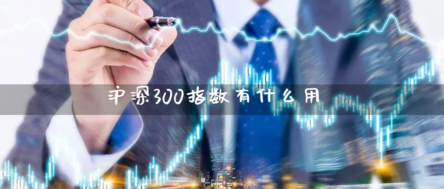 沪深300指数有什么用_https://www.sjzjsgy.com_期货公司_第1张