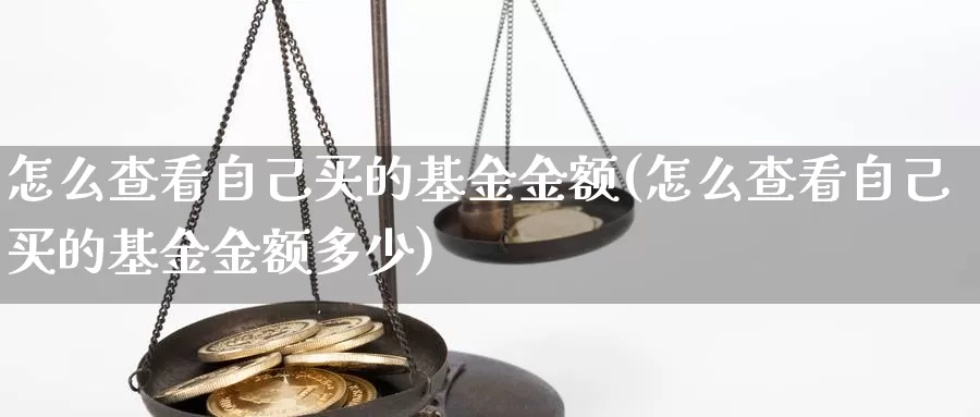 怎么查看自己买的基金金额(怎么查看自己买的基金金额多少)_https://www.sjzjsgy.com_期货百科_第1张