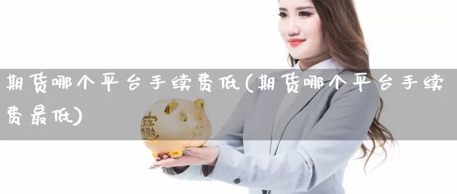 期货哪个平台手续费低(期货哪个平台手续费最低)_https://www.sjzjsgy.com_期货入门_第1张