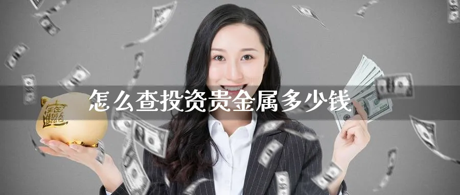 怎么查投资贵金属多少钱_https://www.sjzjsgy.com_期货入门_第1张