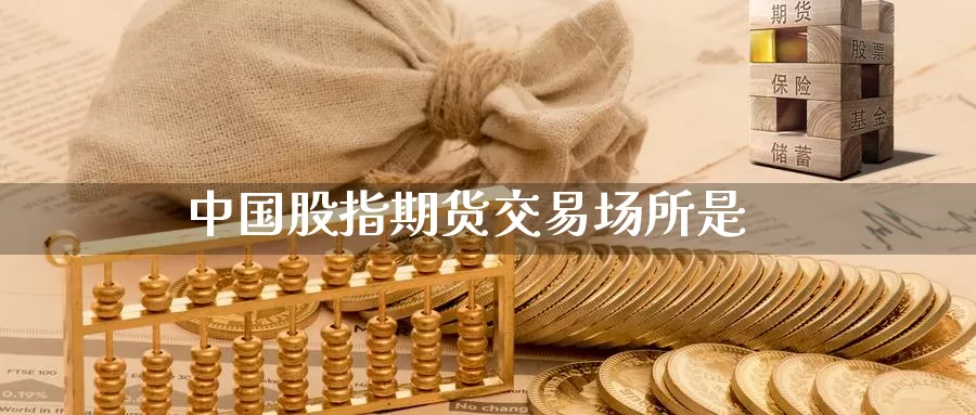 中国股指期货交易场所是_https://www.sjzjsgy.com_期货市场_第1张