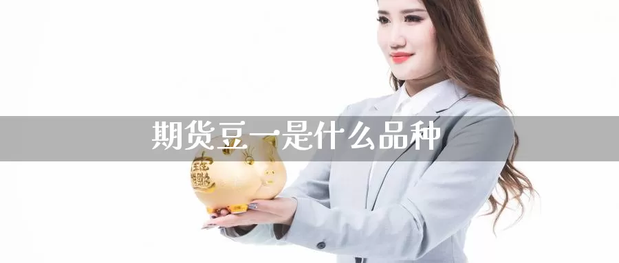 期货豆一是什么品种_https://www.sjzjsgy.com_期货代理_第1张