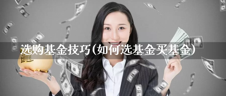 选购基金技巧(如何选基金买基金)_https://www.sjzjsgy.com_外汇_第1张