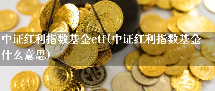 中证红利指数基金etf(中证红利指数基金什么意思)_https://www.sjzjsgy.com_期货行情_第1张