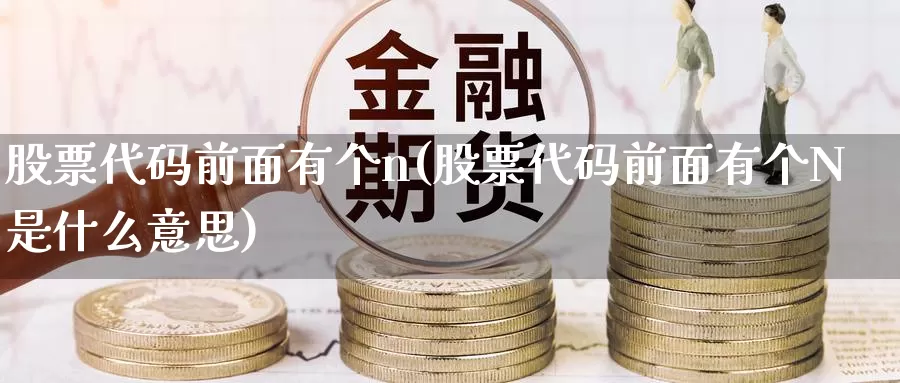 股票代码前面有个n(股票代码前面有个N是什么意思)_https://www.sjzjsgy.com_期货市场_第1张