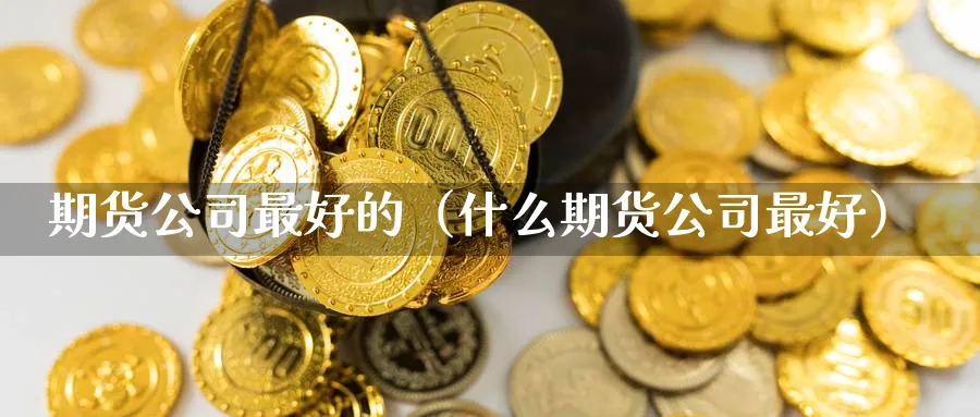 期货公司最好的（什么期货公司最好）_https://www.sjzjsgy.com_期货代理_第1张