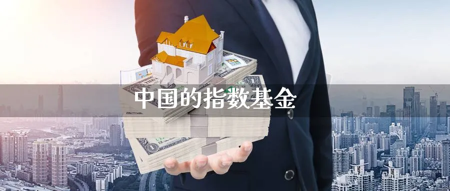 中国的指数基金_https://www.sjzjsgy.com_期货入门_第1张