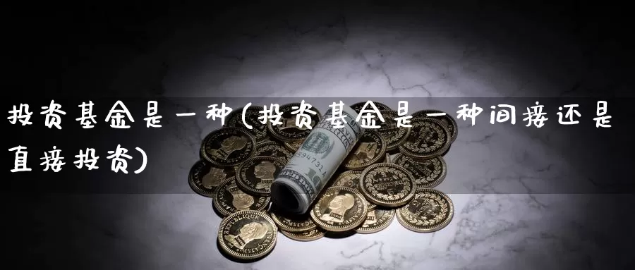 投资基金是一种(投资基金是一种间接还是直接投资)_https://www.sjzjsgy.com_期货行情_第1张