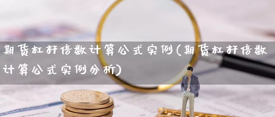 期货杠杆倍数计算公式实例(期货杠杆倍数计算公式实例分析)_https://www.sjzjsgy.com_期货代理_第1张