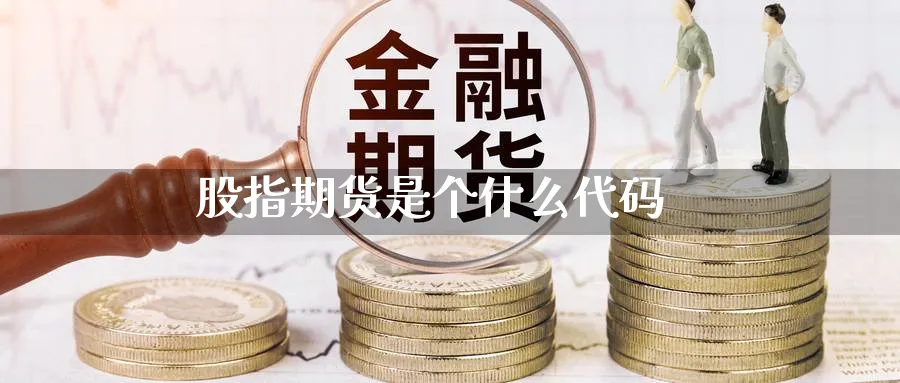 股指期货是个什么代码_https://www.sjzjsgy.com_期货代理_第1张