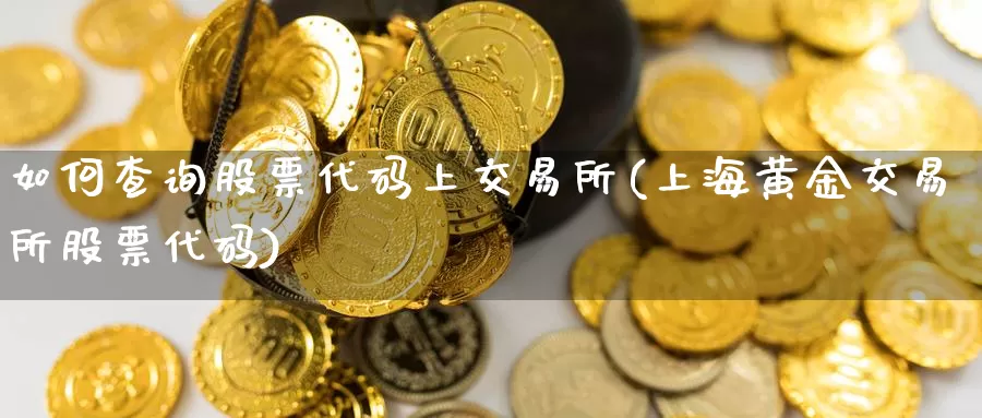 如何查询股票代码上交易所(上海黄金交易所股票代码)_https://www.sjzjsgy.com_外汇_第1张