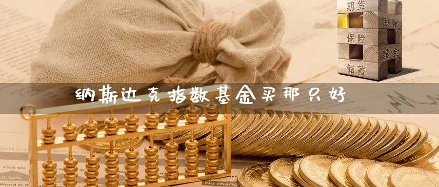 纳斯达克指数基金买那只好_https://www.sjzjsgy.com_期货公司_第1张