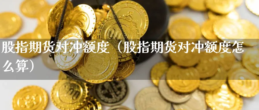 股指期货对冲额度（股指期货对冲额度怎么算）_https://www.sjzjsgy.com_期货入门_第1张