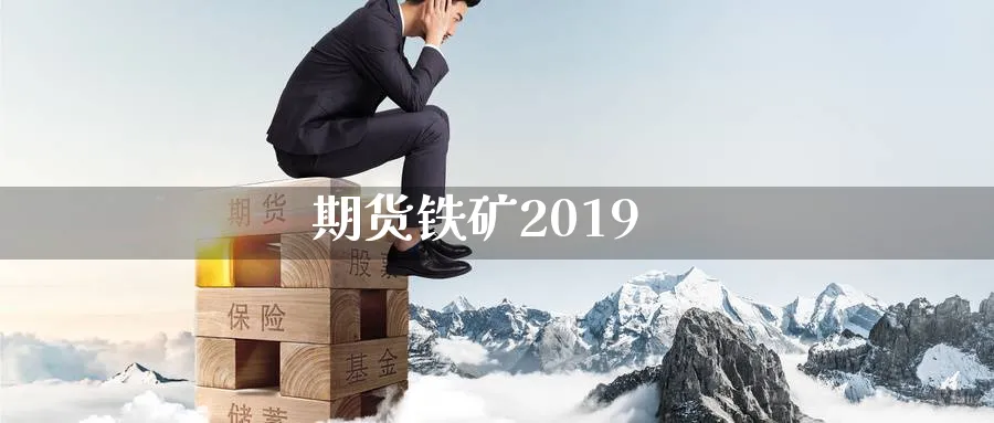 期货铁矿2019_https://www.sjzjsgy.com_期货入门_第1张