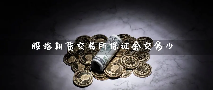 股指期货交易所保证金交多少_https://www.sjzjsgy.com_期货公司_第1张