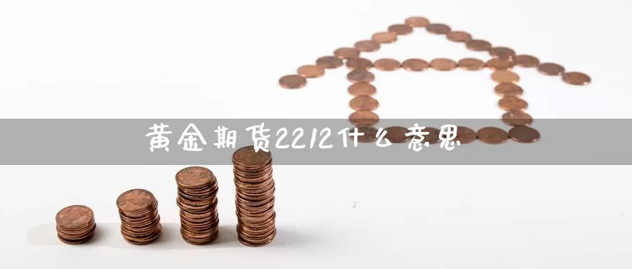 黄金期货2212什么意思_https://www.sjzjsgy.com_期货公司_第1张