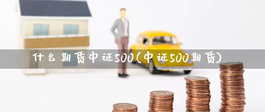 什么期货中证500(中证500期货)_https://www.sjzjsgy.com_期货市场_第1张