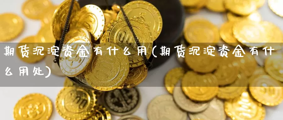 期货沉淀资金有什么用(期货沉淀资金有什么用处)_https://www.sjzjsgy.com_外汇市场_第1张