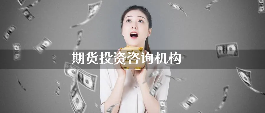 期货投资咨询机构_https://www.sjzjsgy.com_期货公司_第1张