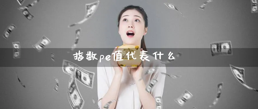 指数pe值代表什么_https://www.sjzjsgy.com_期货代理_第1张