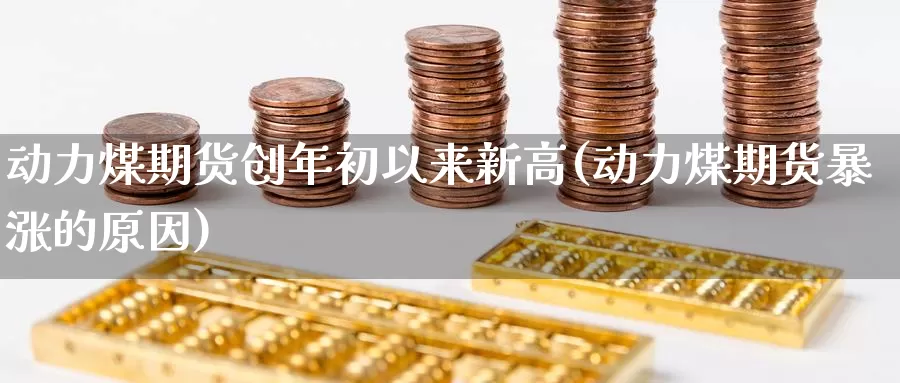 动力煤期货创年初以来新高(动力煤期货暴涨的原因)_https://www.sjzjsgy.com_货币兑_第1张