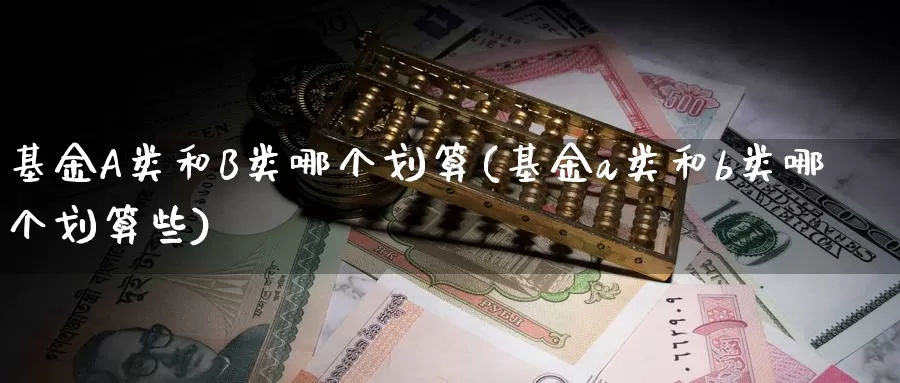 基金A类和B类哪个划算(基金a类和b类哪个划算些)_https://www.sjzjsgy.com_期货代理_第1张