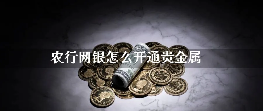 农行网银怎么开通贵金属_https://www.sjzjsgy.com_外汇市场_第1张