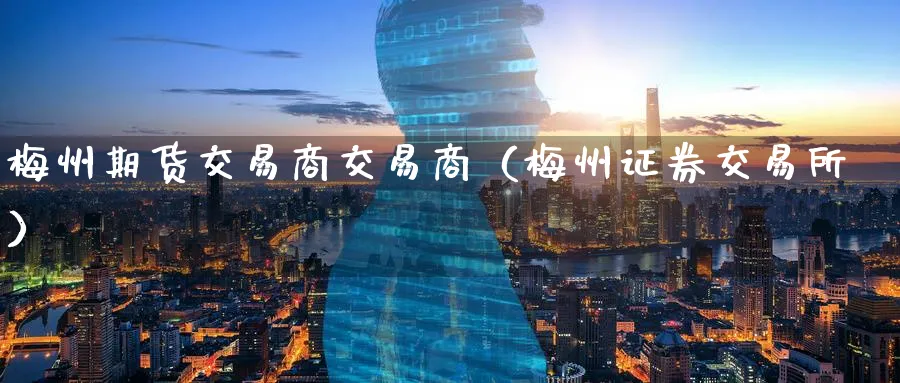 梅州期货交易商交易商（梅州证券交易所）_https://www.sjzjsgy.com_期货百科_第1张