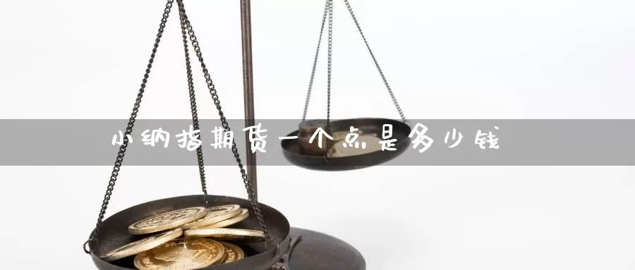 小纳指期货一个点是多少钱_https://www.sjzjsgy.com_期货公司_第1张