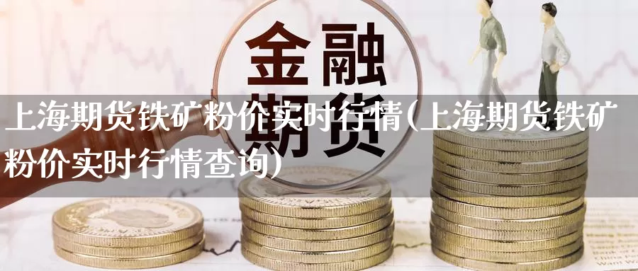 上海期货铁矿粉价实时行情(上海期货铁矿粉价实时行情查询)_https://www.sjzjsgy.com_期货行情_第1张