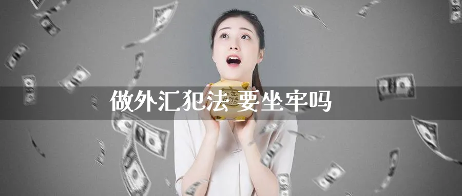 做外汇犯法 要坐牢吗_https://www.sjzjsgy.com_期货市场_第1张