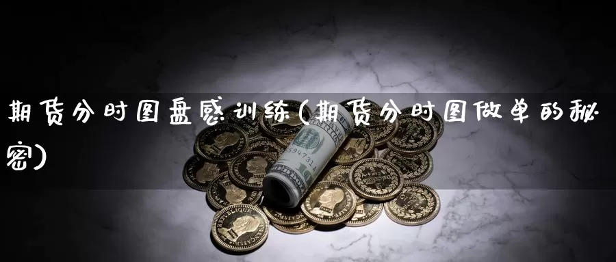 期货分时图盘感训练(期货分时图做单的秘密)_https://www.sjzjsgy.com_外汇_第1张