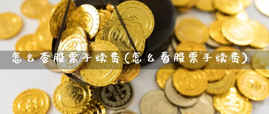 怎么查股票手续费(怎么看股票手续费)_https://www.sjzjsgy.com_外汇市场_第1张