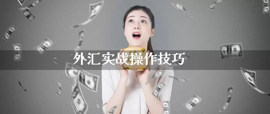 外汇实战操作技巧_https://www.sjzjsgy.com_期货公司_第1张