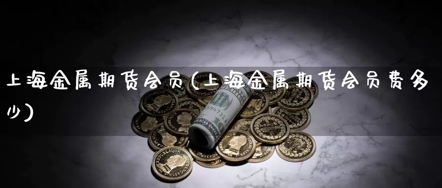 上海金属期货会员(上海金属期货会员费多少)_https://www.sjzjsgy.com_外汇市场_第1张