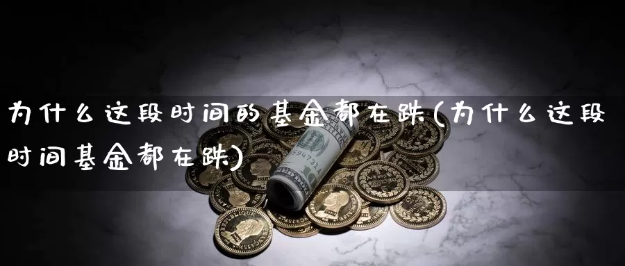 为什么这段时间的基金都在跌(为什么这段时间基金都在跌)_https://www.sjzjsgy.com_期货百科_第1张