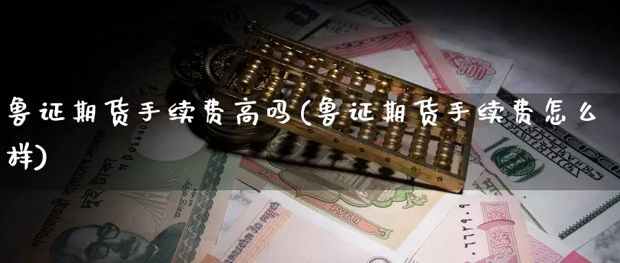 鲁证期货手续费高吗(鲁证期货手续费怎么样)_https://www.sjzjsgy.com_股指期货_第1张