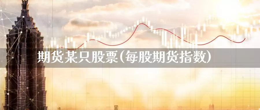 期货某只股票(每股期货指数)_https://www.sjzjsgy.com_期货入门_第1张