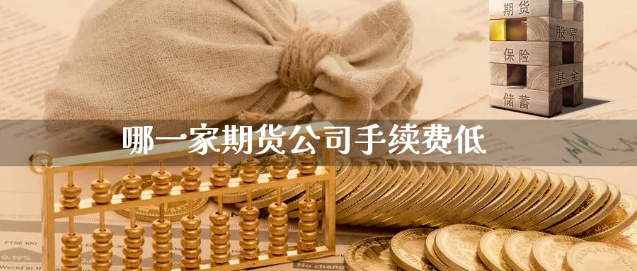 哪一家期货公司手续费低_https://www.sjzjsgy.com_期货代理_第1张