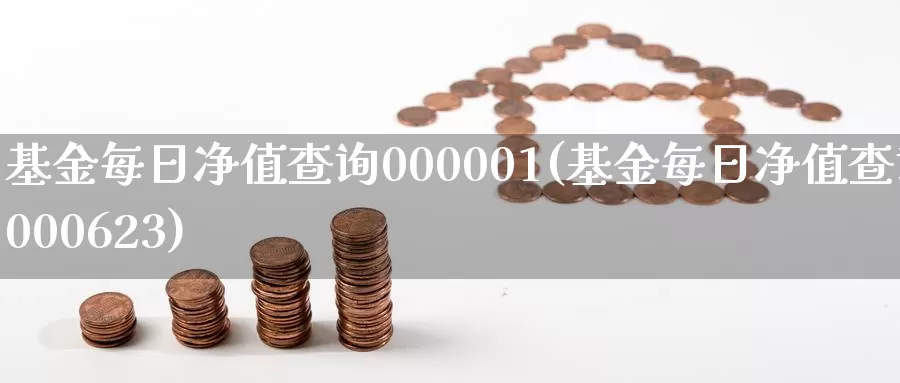 基金每日净值查询000001(基金每日净值查询000623)_https://www.sjzjsgy.com_期货百科_第1张