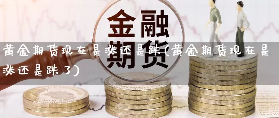 黄金期货现在是涨还是跌(黄金期货现在是涨还是跌了)_https://www.sjzjsgy.com_外汇市场_第1张