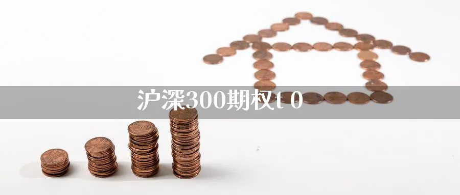 沪深300期权t 0_https://www.sjzjsgy.com_期货入门_第1张