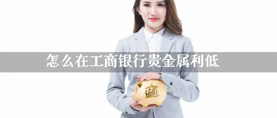 怎么在工商银行贵金属利低_https://www.sjzjsgy.com_期货公司_第1张