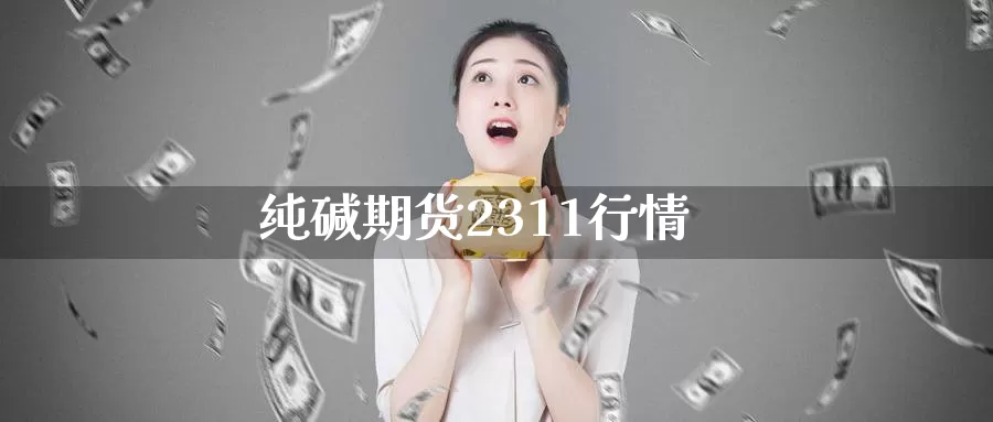 纯碱期货2311行情_https://www.sjzjsgy.com_期货代理_第1张