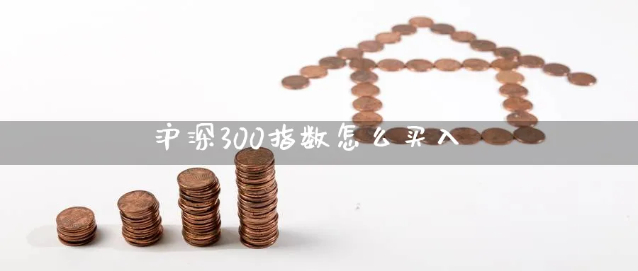 沪深300指数怎么买入_https://www.sjzjsgy.com_期货行情_第1张