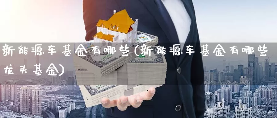 新能源车基金有哪些(新能源车基金有哪些龙头基金)_https://www.sjzjsgy.com_外汇市场_第1张